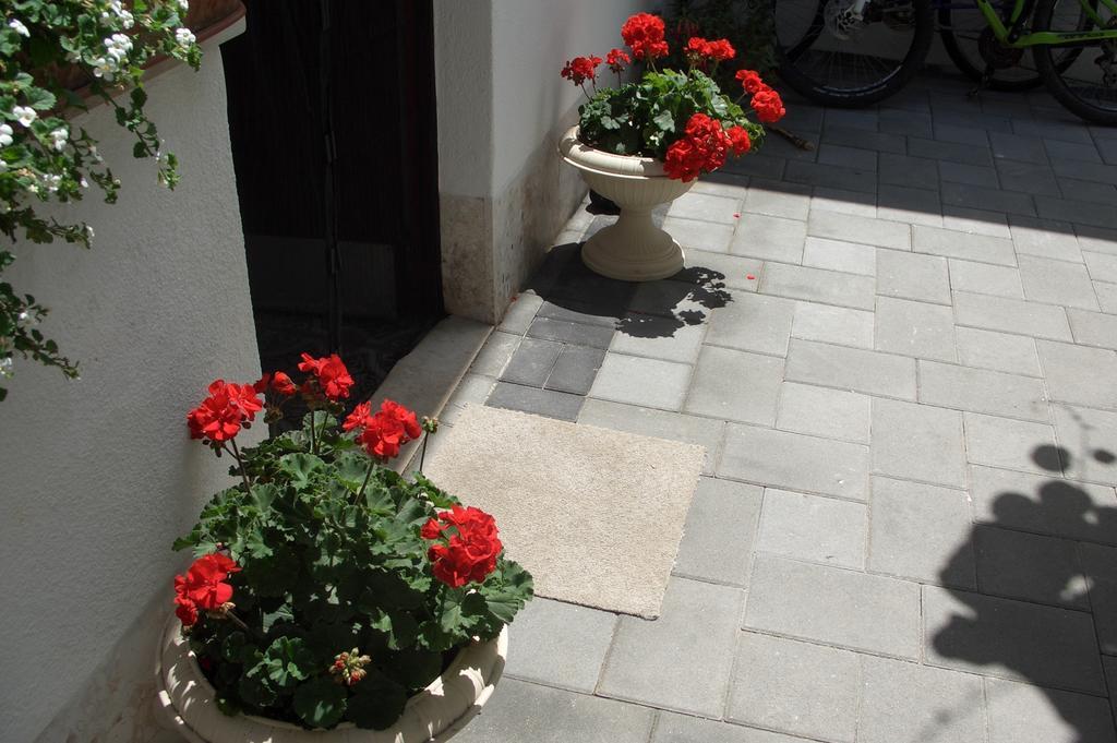 Apartment Vesna Zadar Ruang foto