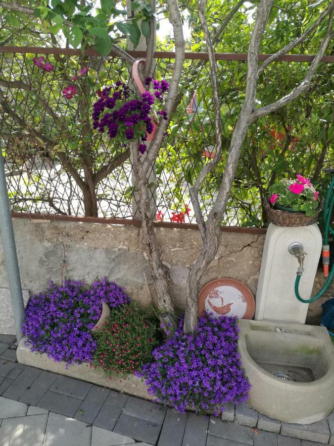 Apartment Vesna Zadar Bagian luar foto